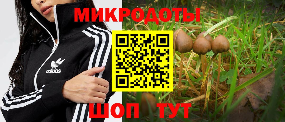 Галлюциногенные грибы мицелий  Вход с VPN  Верхняя Салда  Галлюциногенные грибы MAGIC MUSHROOMS 